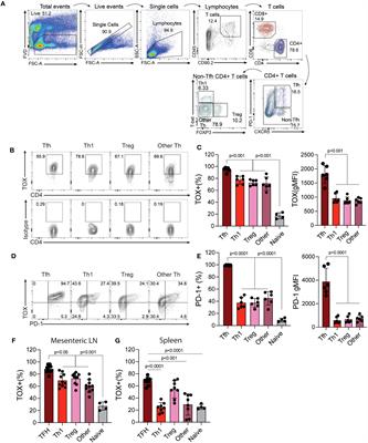 Tox induces T cell IL-10 production in a BATF-dependent manner